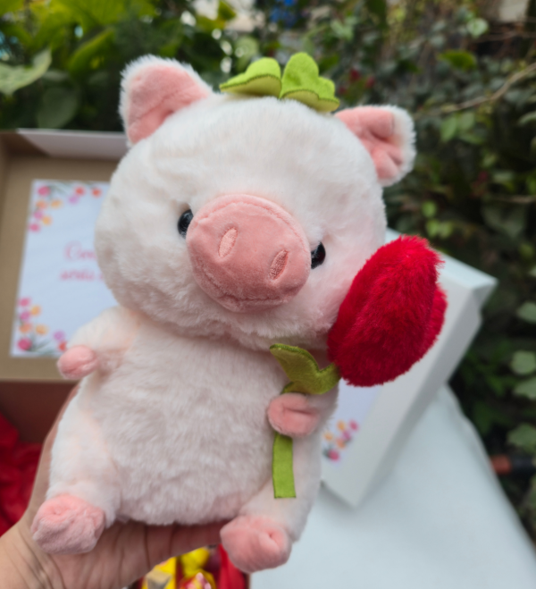 Producto - Box chanchito con flor dia de la primavera - 1