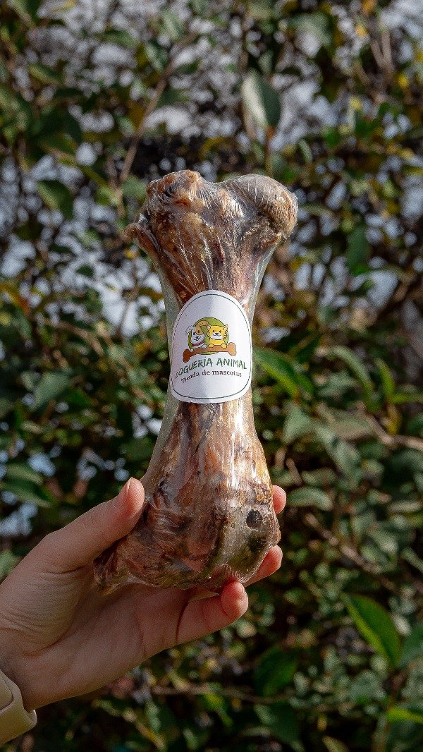 Producto - Hueso de fémur