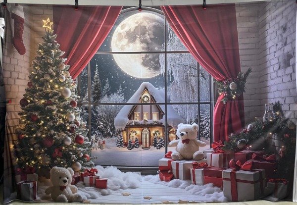 Producto - FONDO NAVIDEÑO 300X200  CON FALLA IMPERCEPTIBLE ND224