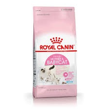 Producto - ROYAL CANIN CAT Mother Baby Cat x 1.5