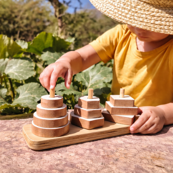 Producto - JUEGO DE ENCASTRE