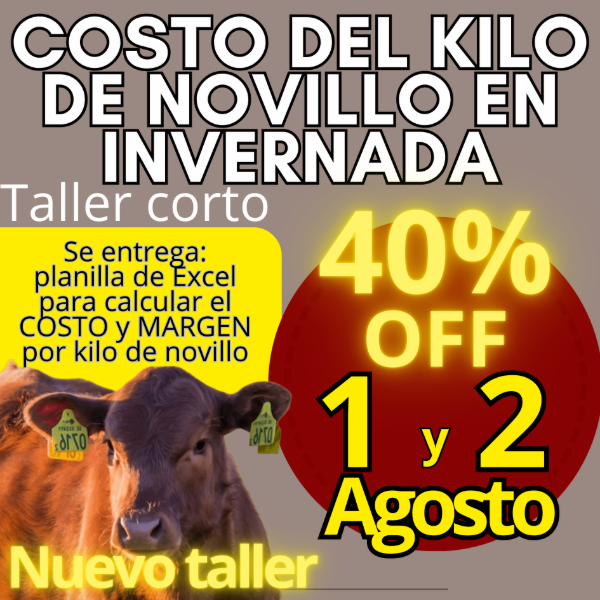 Producto - Taller corto: cálculo del costo del kilo de novillo