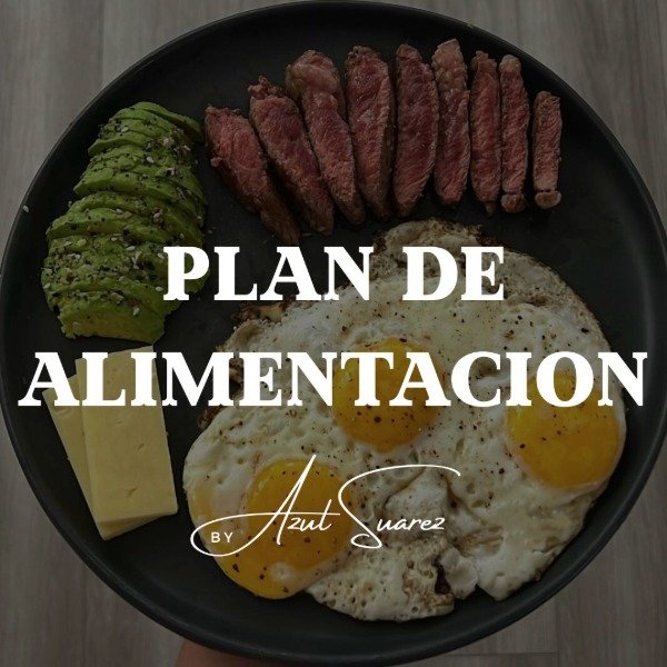 Producto - PLAN DE ALIMENTACION - 0