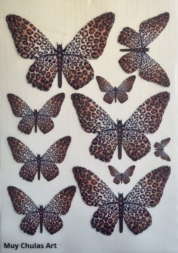 Producto - Mariposa varias
