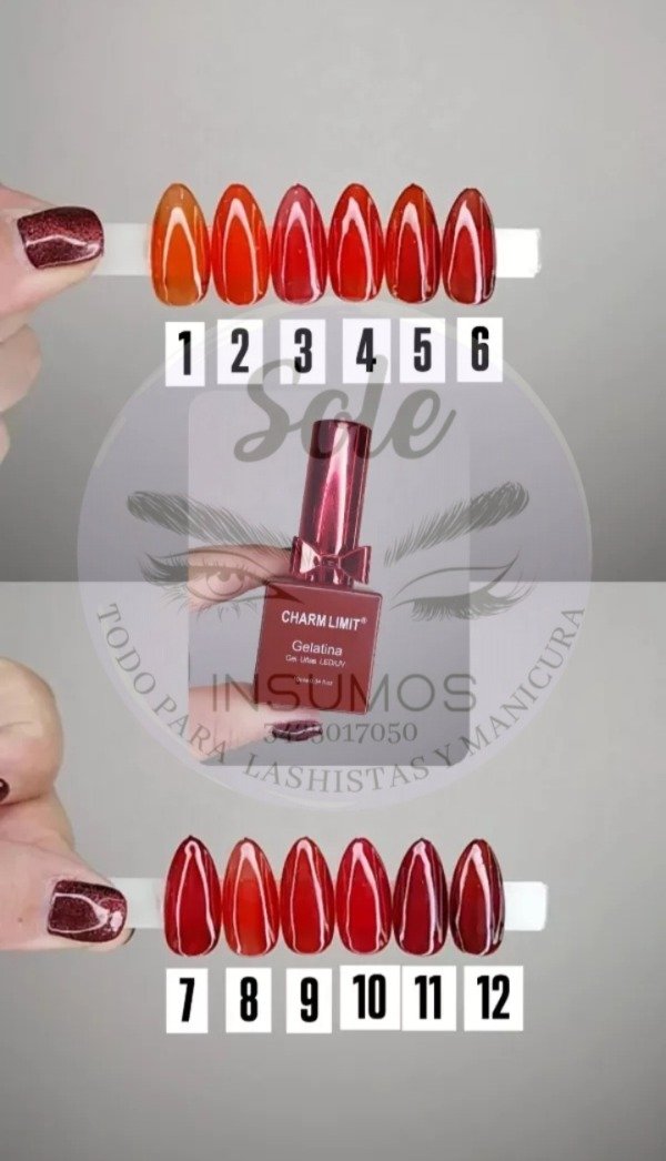 Producto - ESMALTE CHARM LIMIT GELATINA