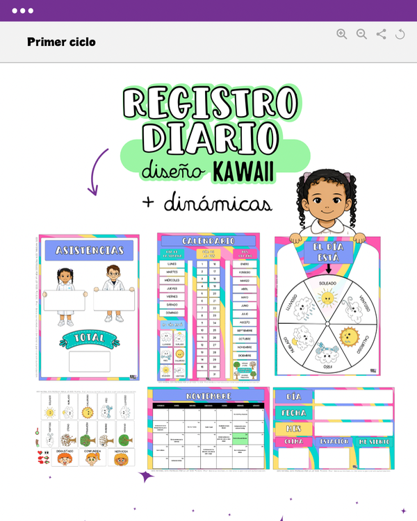 Producto - REGISTROS DIARIOS - DISEÑO KAWAII