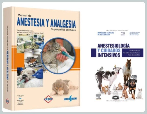 Producto - Manual de Anestesia y Analgesia + Anestesiología y Cuidados Intensivos