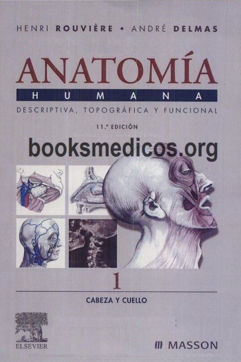 Producto - Anatomía Rouviere 11va Edición