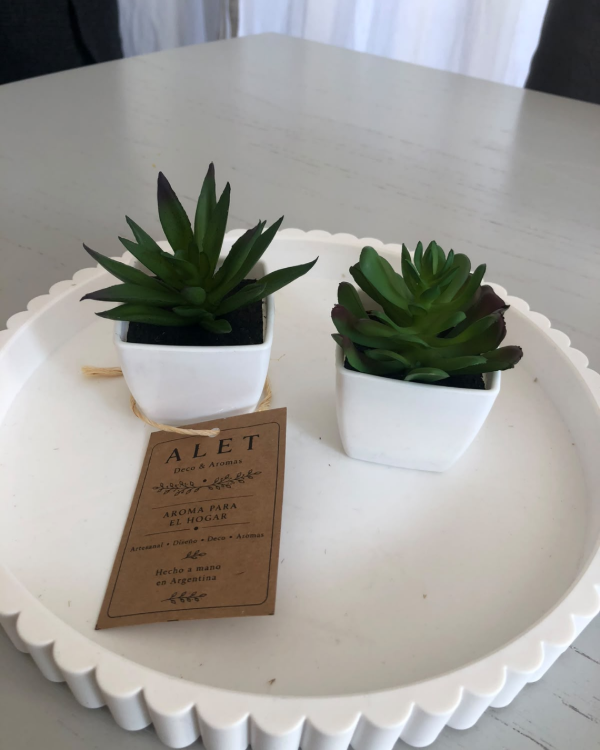 Producto - Suculenta Artificial con Maceta Cerámica Blanca