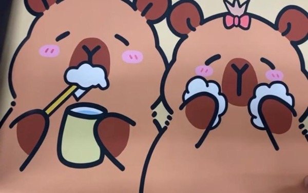 Producto - Alfombras de Capibara