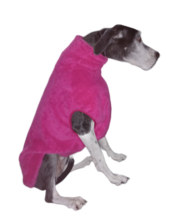Producto - Buzo Be You polar cuello alto doble Perro Extra Grande