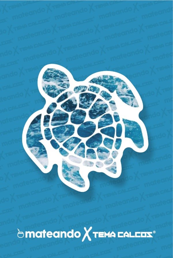 Producto - TORTUGA CELESTE