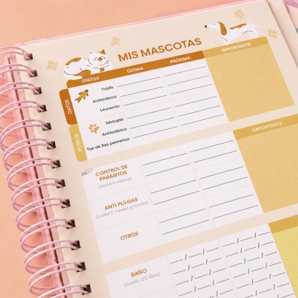 Producto - Agenda PREMIUM A5 - DIARIA GATOS - 8