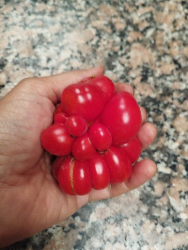 Miniatura de producto - 4