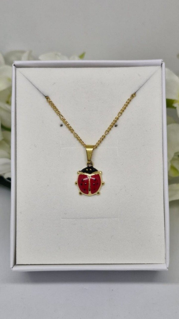 Producto - Conjunto Vaquita de San Antonio Roja