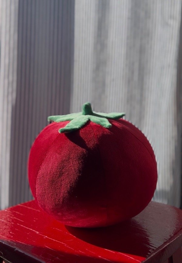 Producto - Almohadón POMODORO - 1