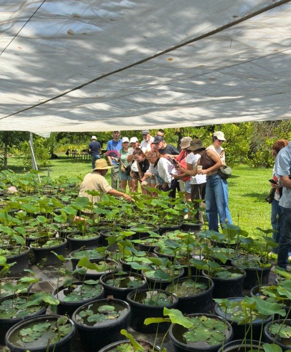 Producto - PAGO TOTAL CURSO ANUAL JARDINERÍA ACUÁTICA