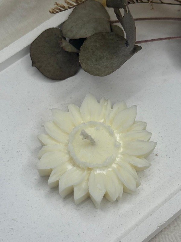 Producto - VELA GIRASOL