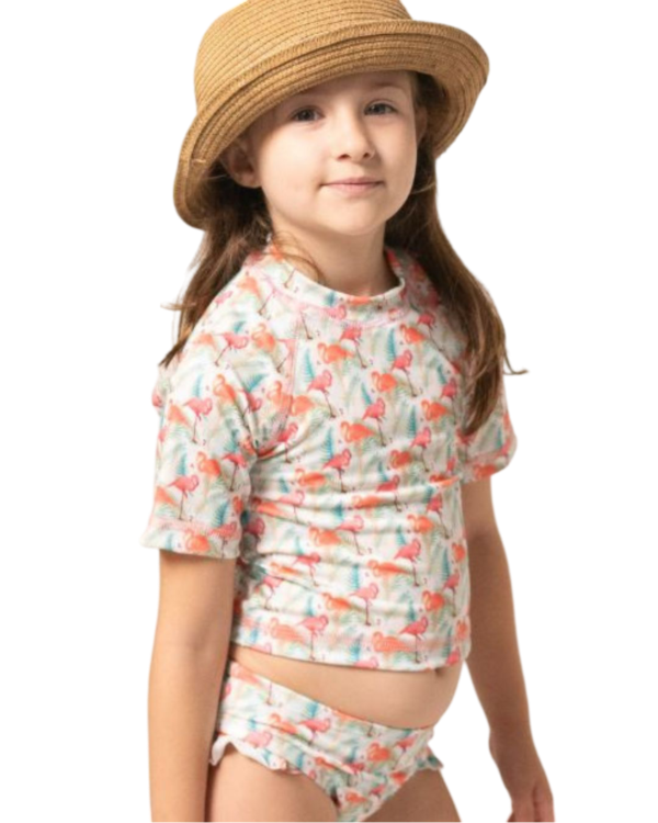 Producto - Malla Flamencos Conjunto