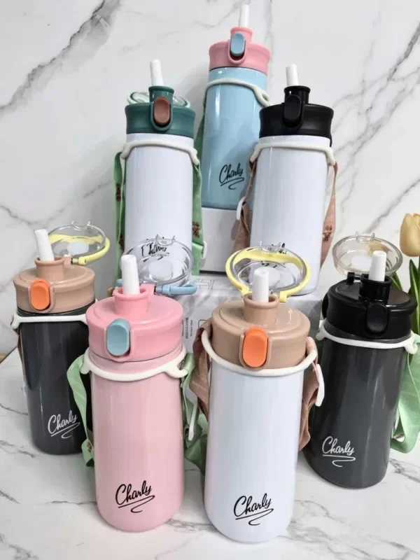 Producto - Botella Termica Charly Bicolor con Stickers y Correa