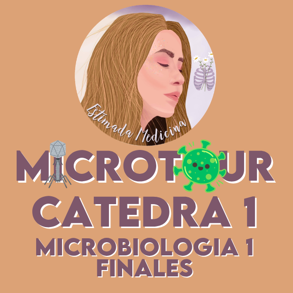 Producto - MICRO 1 FINALES (cátedra 1)