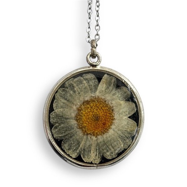 Producto - Margarita - Alpaca 3cm