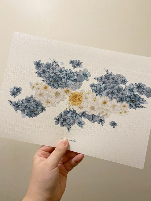 Producto - Lamina Malvinas Floral A4