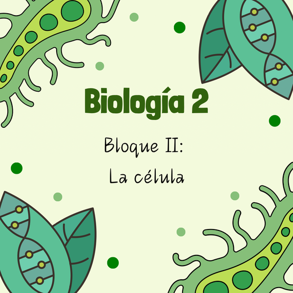 Producto - Bloque II: La célula