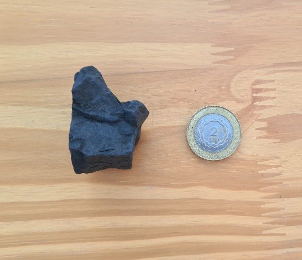 Producto - Shunguita