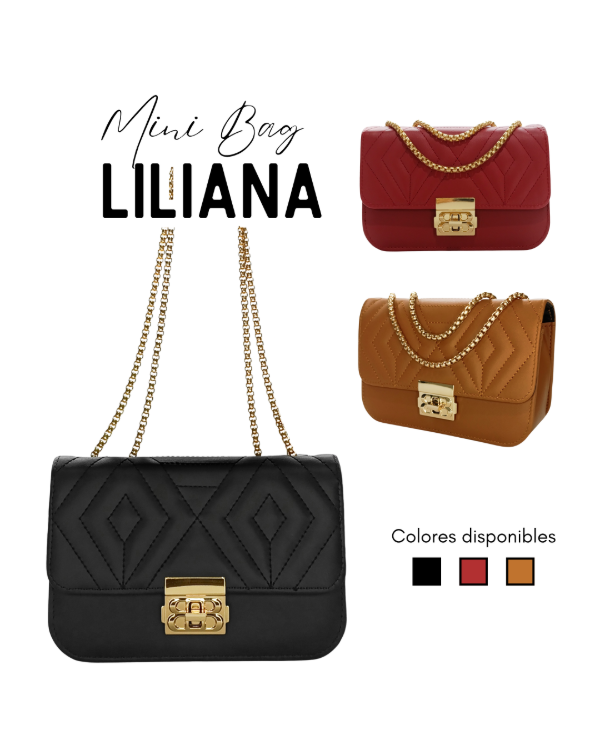 Producto - Mini Bag Liliana (Importada)