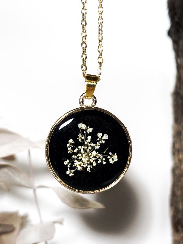 Producto - Ammi Majus dorado II
