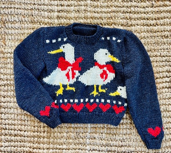 Producto - Sweater Pato