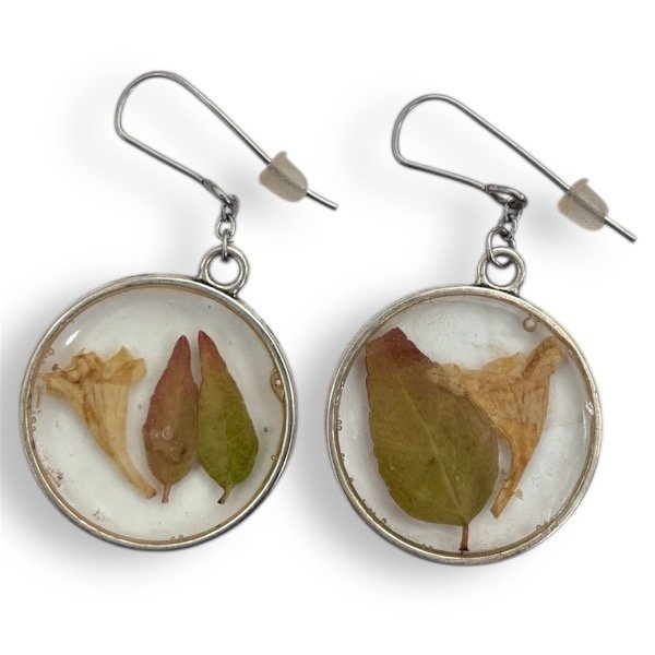 Producto - Aros abelia