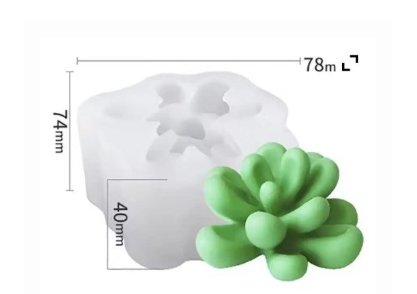 Producto - Molde suculenta H42-008J8