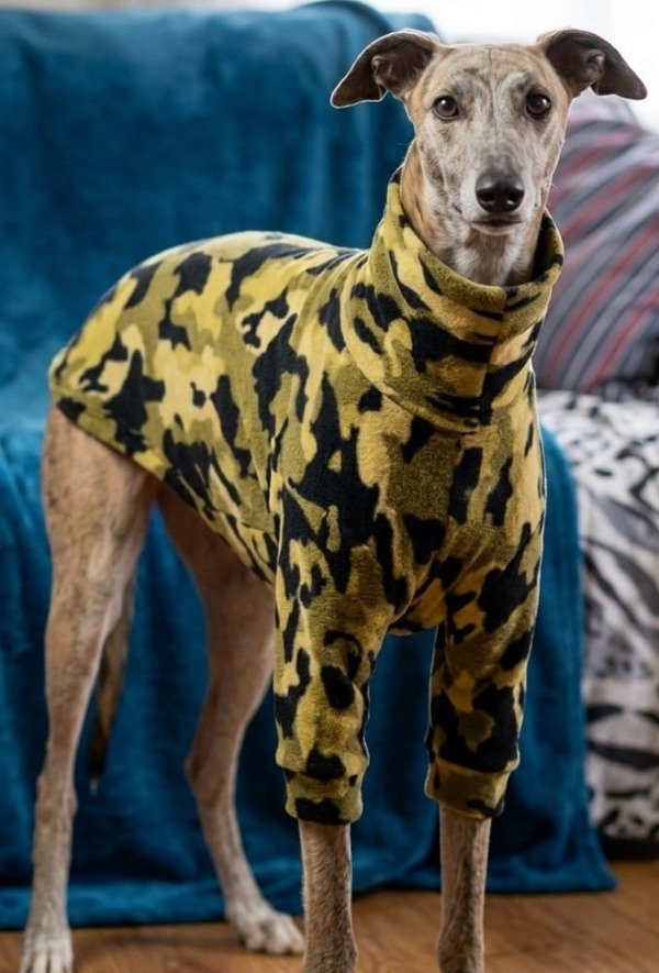 Producto - Buzo Galgos POLAR SOFT - 1