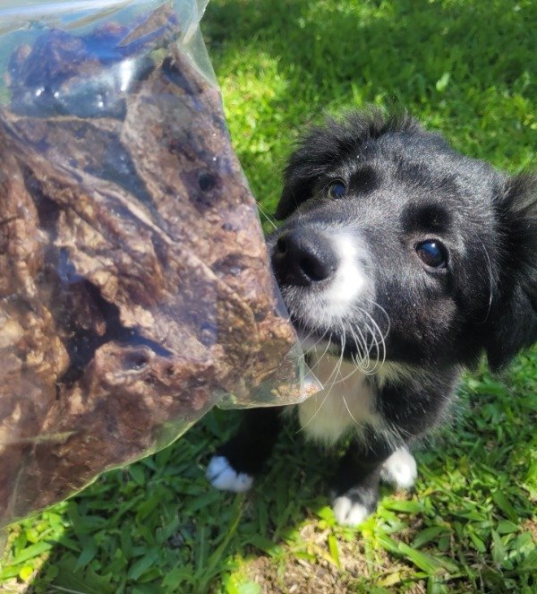 Producto - Pulmón 80gr