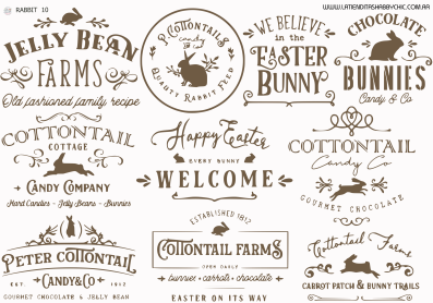 Producto - RABBIT 10 TRANSFERMIXED A4