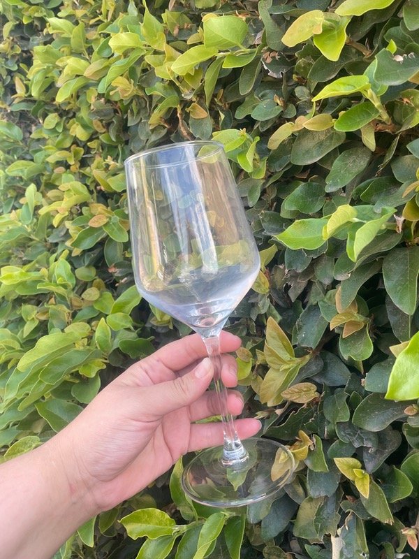 Producto - Copa de agua x6 un 500cc