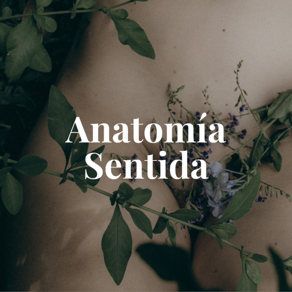 Producto - Anatomía Sentida
