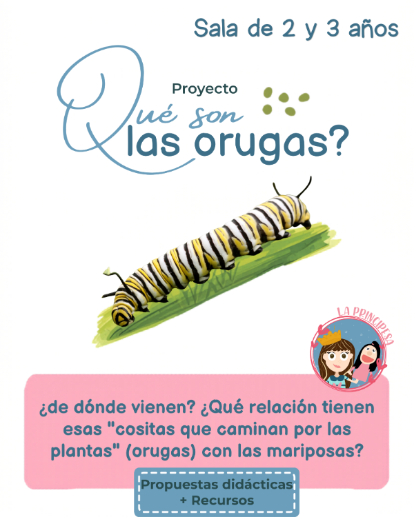 Producto - proyecto ciencia sala de 2 y 3 años qué son las orugas