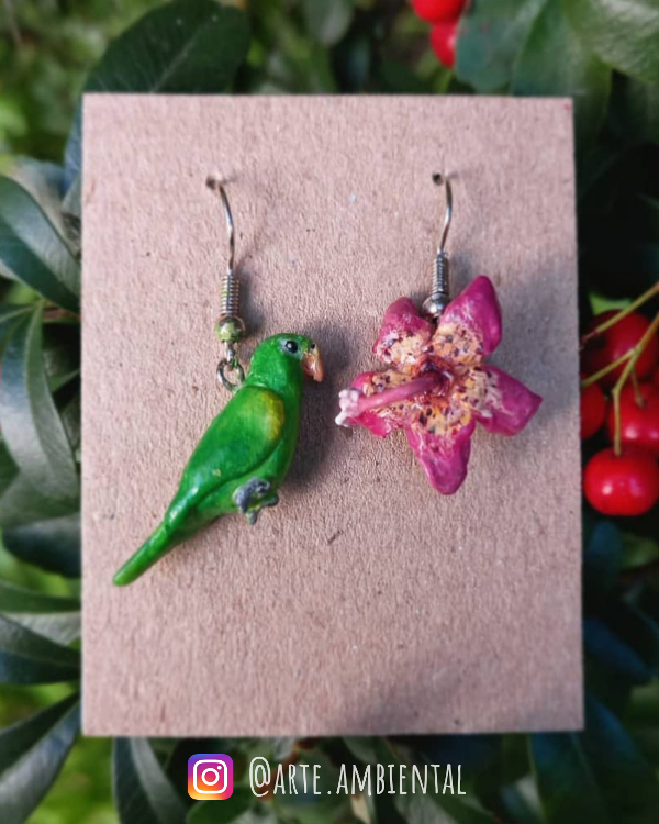 Producto - Catita Chirirí y Flor de Palo Borracho