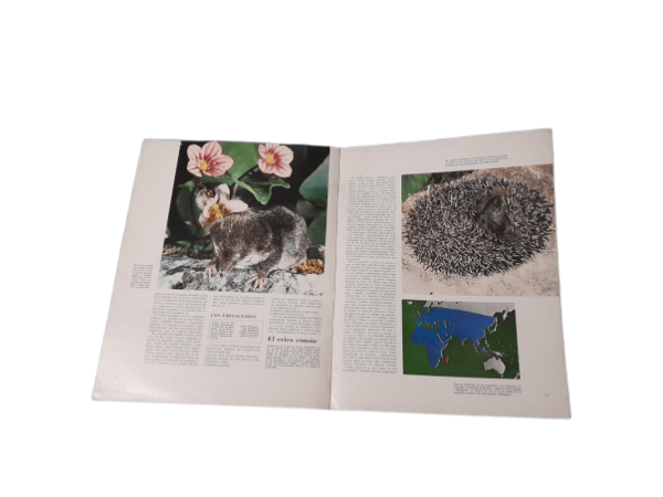 Miniatura de producto - 5