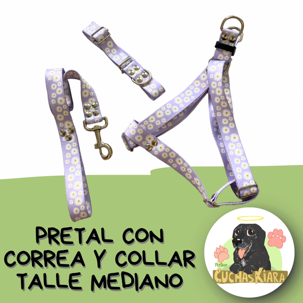 Producto - Pretal y Correa Talle Mediano