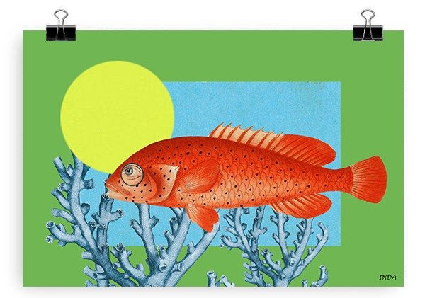 Producto - Ojo de Pez