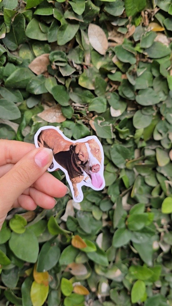 Producto - Sticker individual personalizado