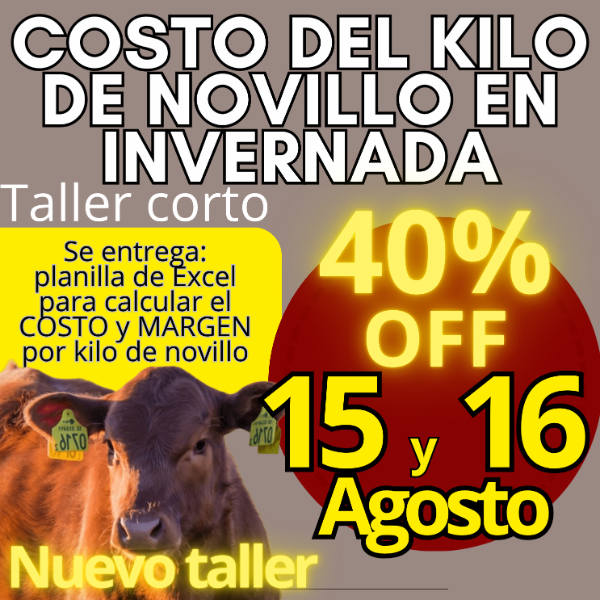Producto - Taller corto: cálculo del costo del kilo de novillo
