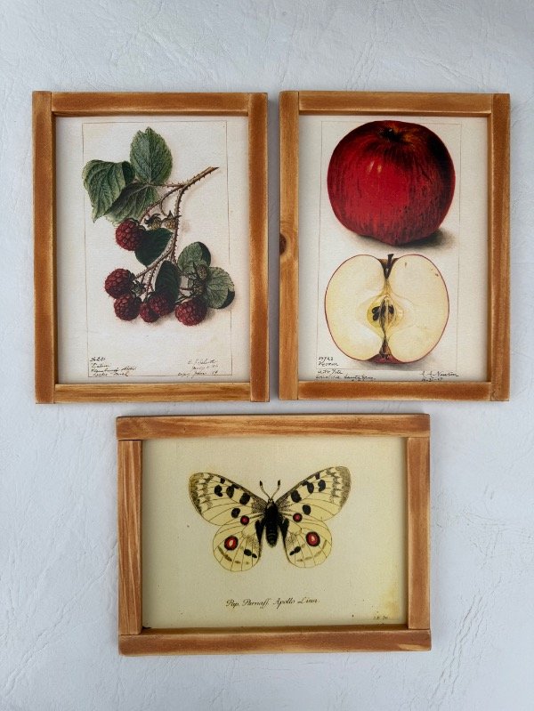 Producto - Cuadritos de ilustraciones vintage - 4