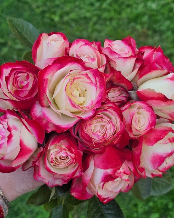 Producto - Jubilé du Prince de Monaco