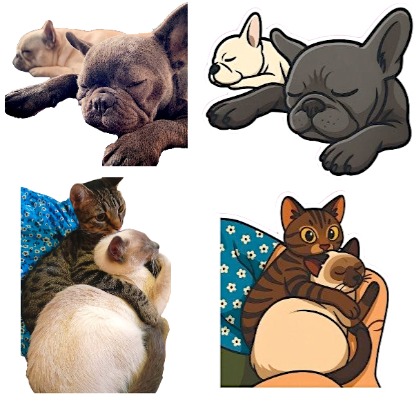 Producto - Pack de stickers Personalizados de tu mascota