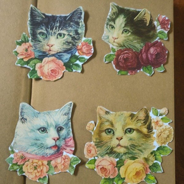 Producto - Pack michis flores